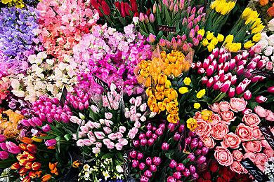 北欧女神新作《Valkyrie Elysium》将登陆PC和PS